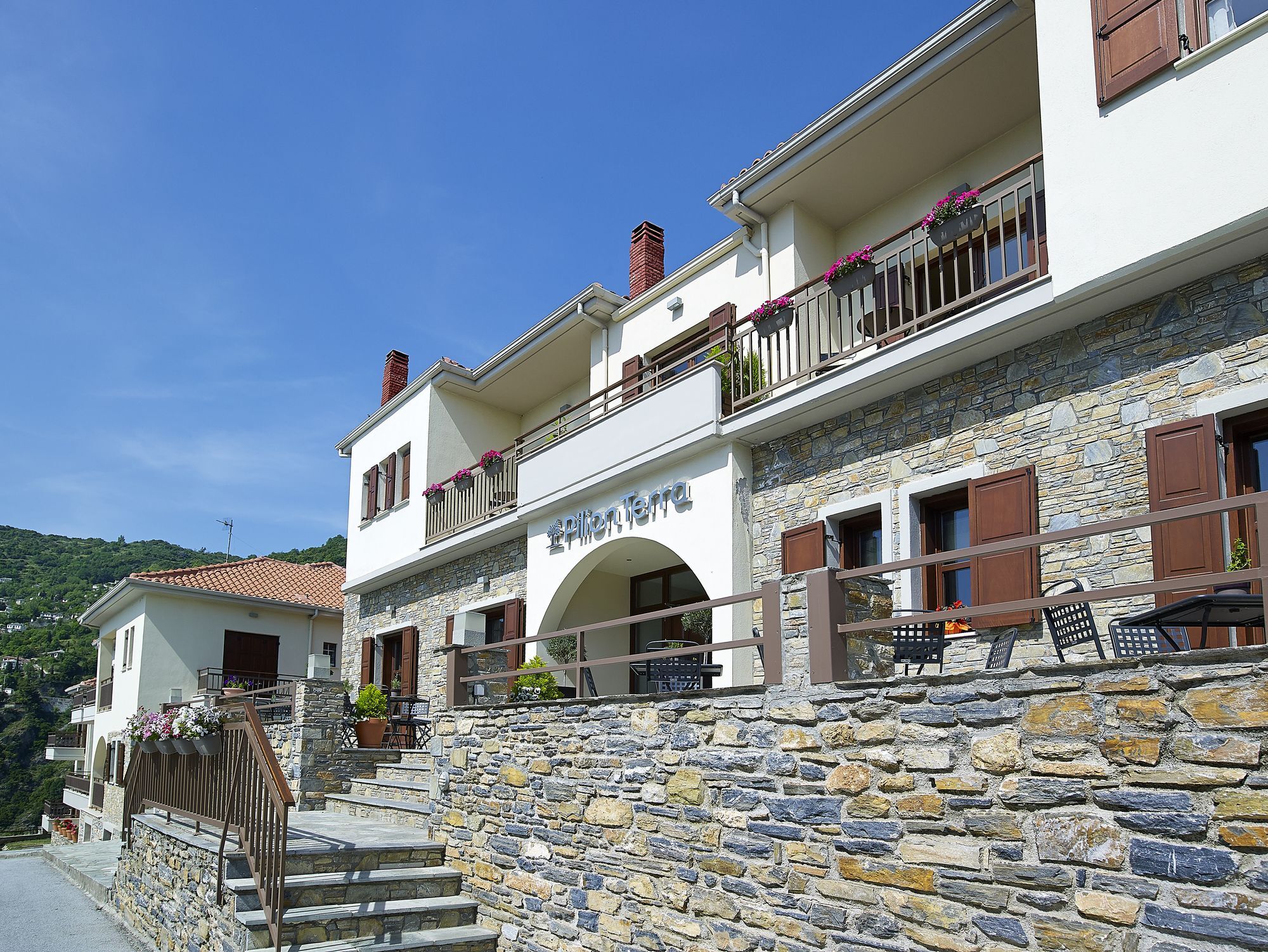 Pilion Terra Hotel Portariá Kültér fotó