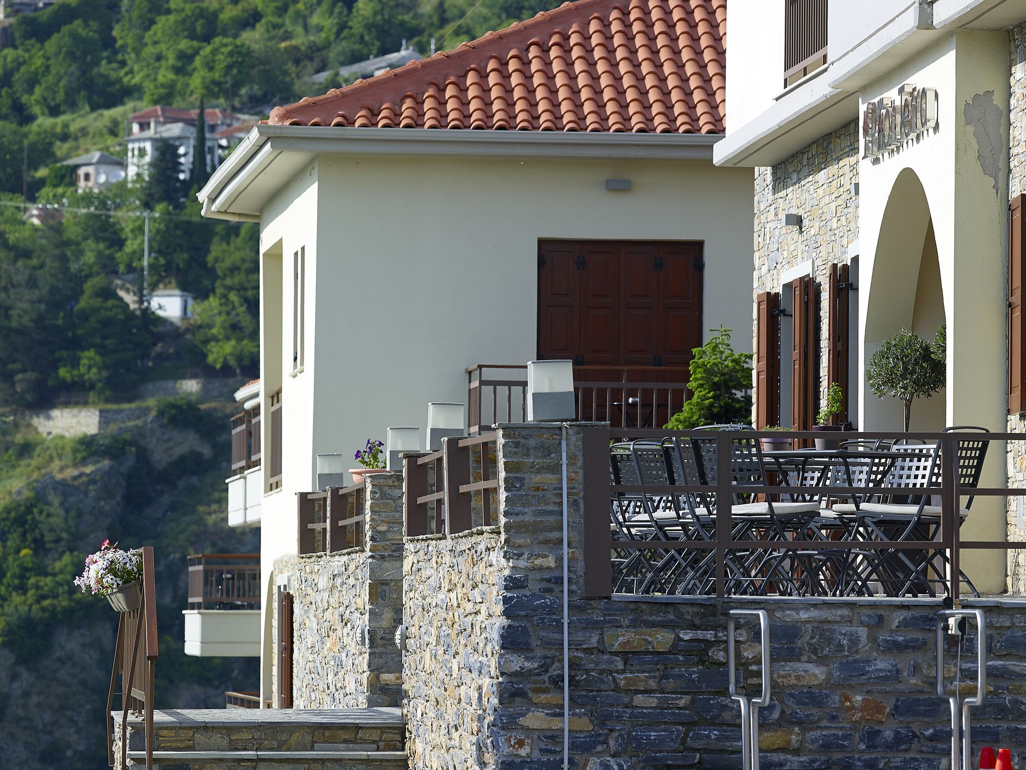 Pilion Terra Hotel Portariá Kültér fotó